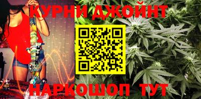 шишки Балашиха