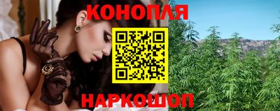 шишки Балашиха