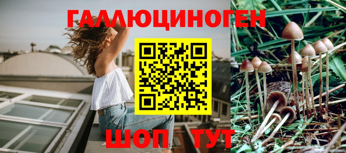 Псилоцибиновые грибы Psilocybe  Вход с VPN  Гулькевичи 